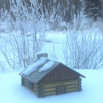 waldon hollow chinking cabin