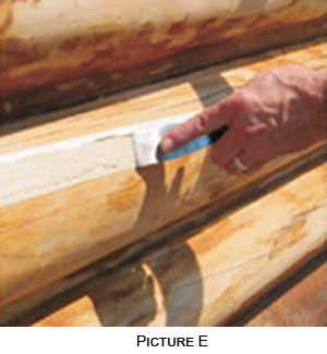 Check Mate® Log Caulk to Seal Cracks and Checks in Log Homes