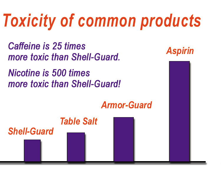 borate toxicity