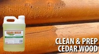 Cedar Wash