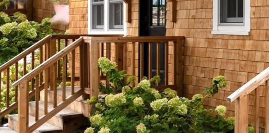 Coating Shakes and Shingles
