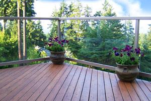 Protect and Preserve your Deck