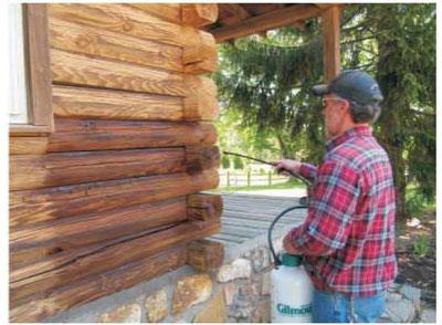 How to Apply Borate Treatments