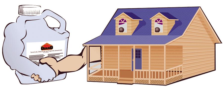 Effective Borate Treatments against Decay and Bug Infestation