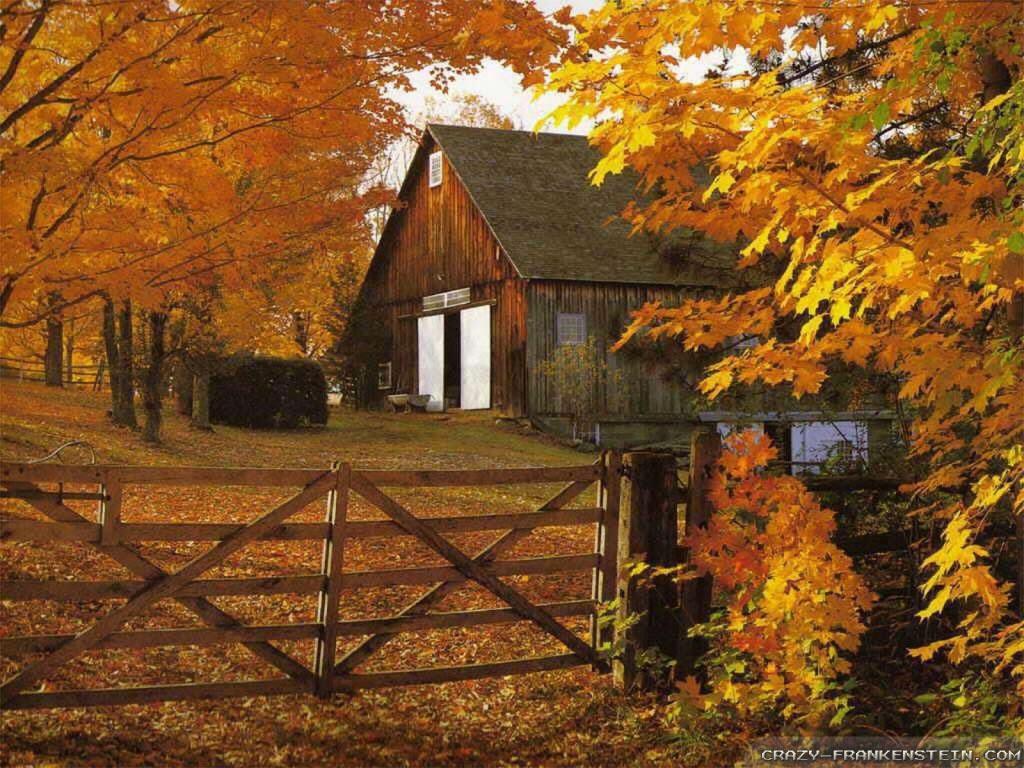 Fall Log Home Maintenance is not Just Cleaning