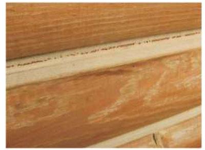 Repairing Log Home Chinking