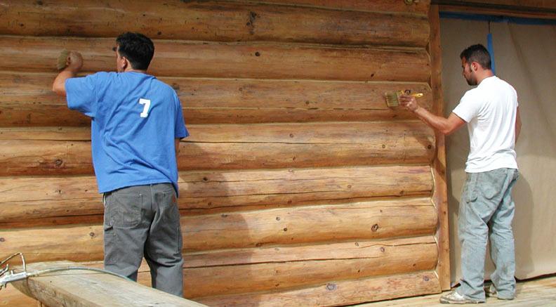 Oil-Based Stains versus Lifeline Water-Based Stains